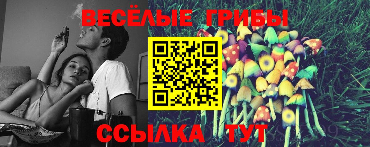 Семилуки  Псилоцибиновые грибы GOLDEN TEACHER  Вход с VPN  где купить наркоту  Псилоцибиновые грибы Cubensis 